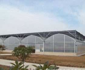連棟薄膜溫室