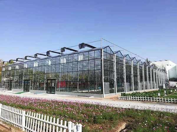 花卉大棚